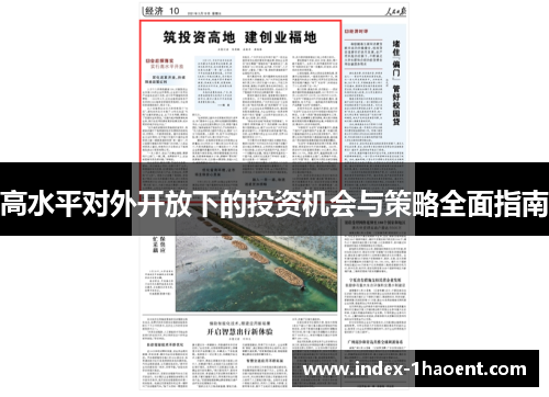 高水平对外开放下的投资机会与策略全面指南