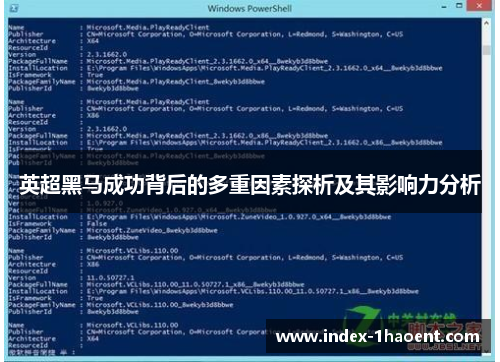 英超黑马成功背后的多重因素探析及其影响力分析