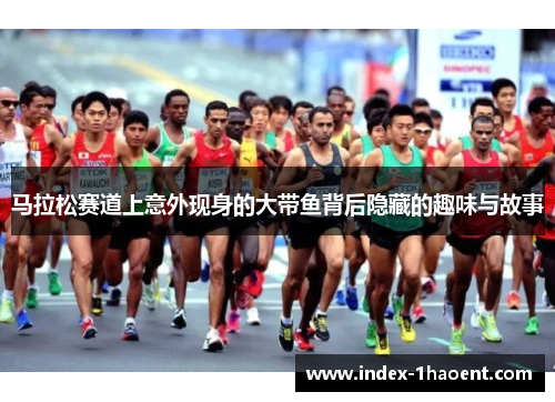 马拉松赛道上意外现身的大带鱼背后隐藏的趣味与故事